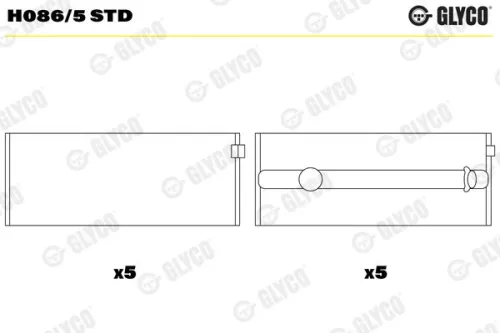 Crankshaft Bearing
