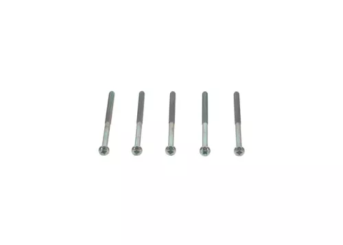 Screw