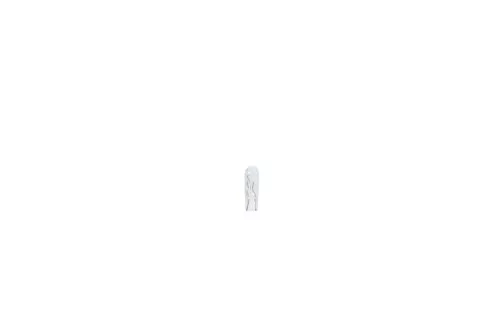 Bulb
