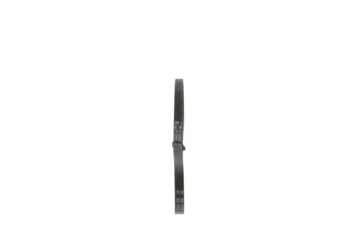 V-Ribbed Belt