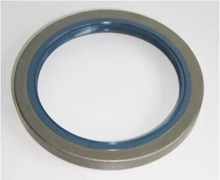Shaft Seal, wheel hub
