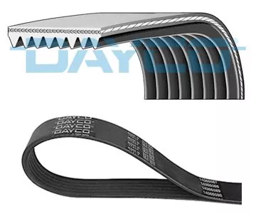 V-ribbed Belt