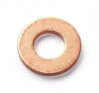 Seal Ring, nozzle holder