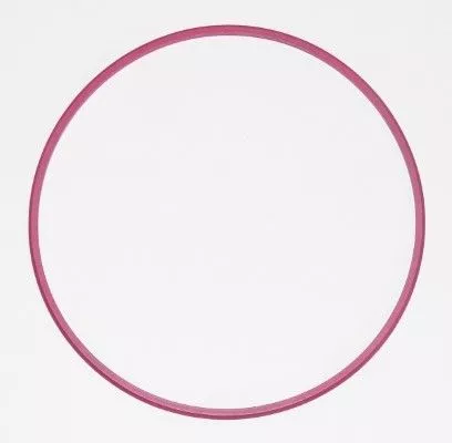 Seal Ring