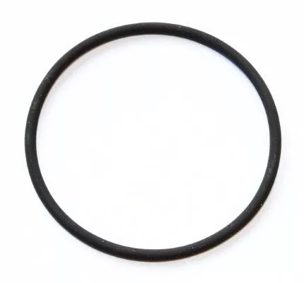 Seal Ring