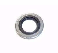 Seal Ring