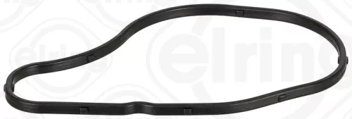 Gasket, timing case cover