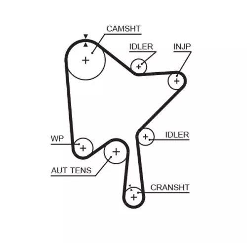Timing Belt