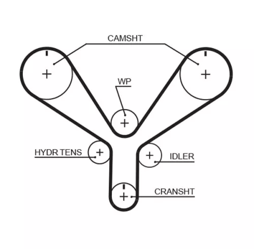 Timing Belt