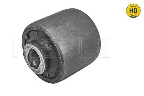 Mounting, control/trailing arm