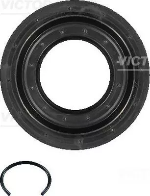 Shaft Seal, differential