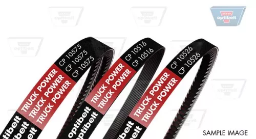 V-Belt