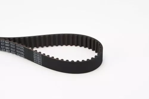 Timing Belt
