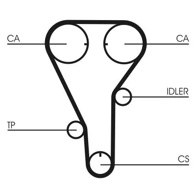Timing Belt