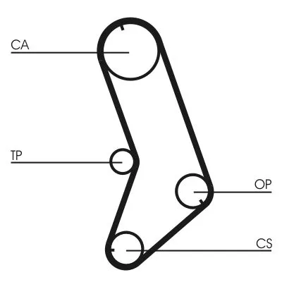 Timing Belt