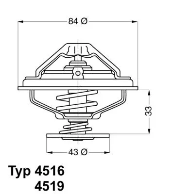 Thermostat, coolant