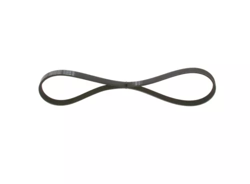 V-ribbed Belt