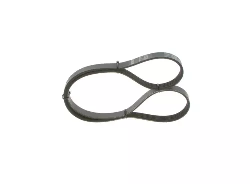 V-ribbed Belt