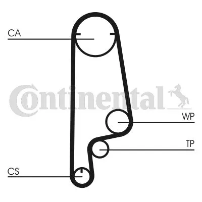 Timing Belt