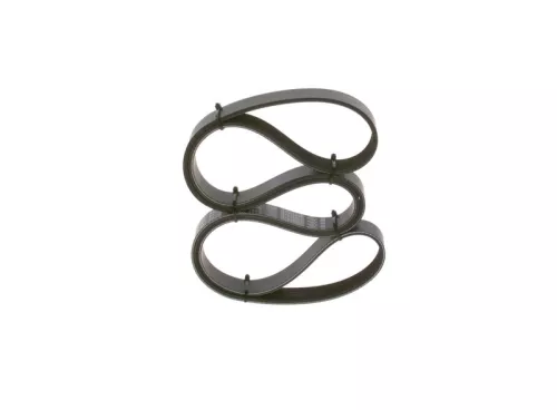 V-ribbed Belt