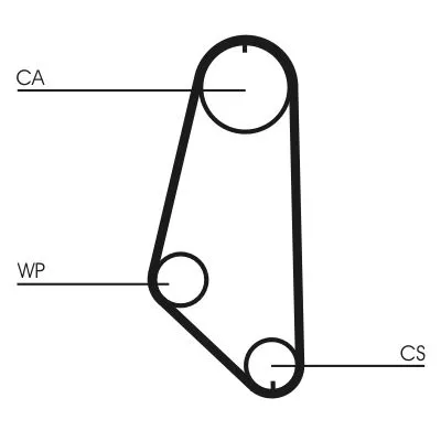 Timing Belt