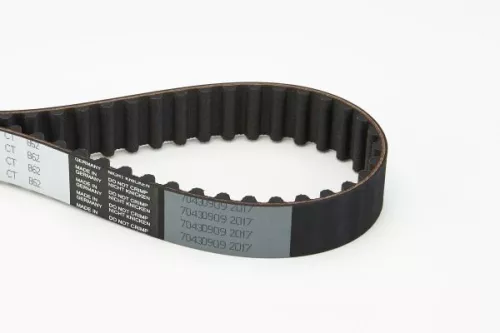 Timing Belt
