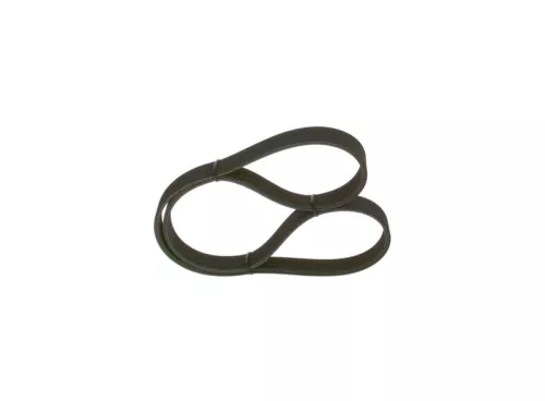V-ribbed Belt