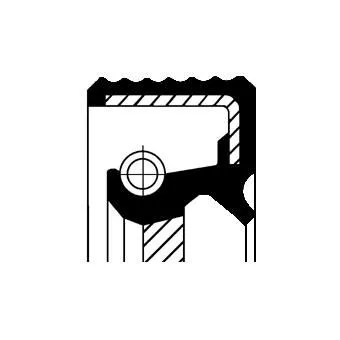 Shaft Seal, crankshaft