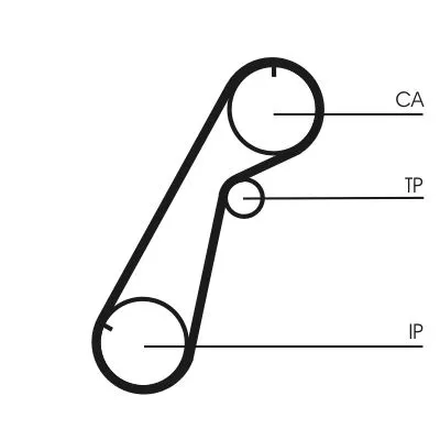 Timing Belt