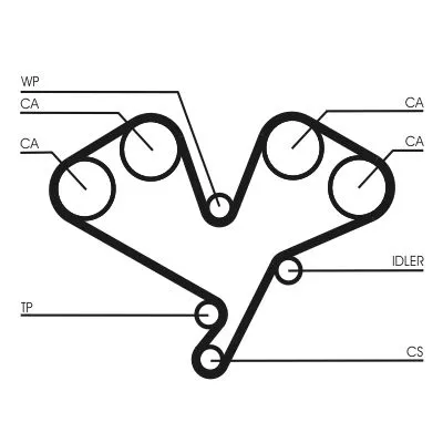 Timing Belt