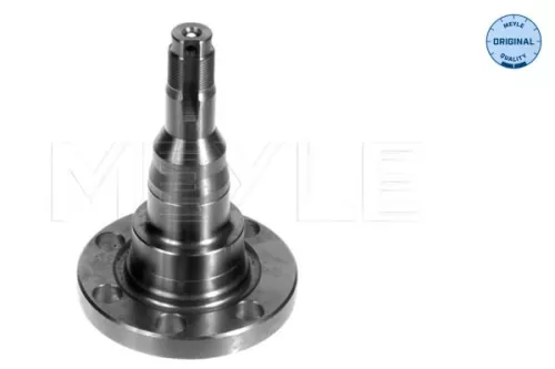 Steering Knuckle, wheel suspension