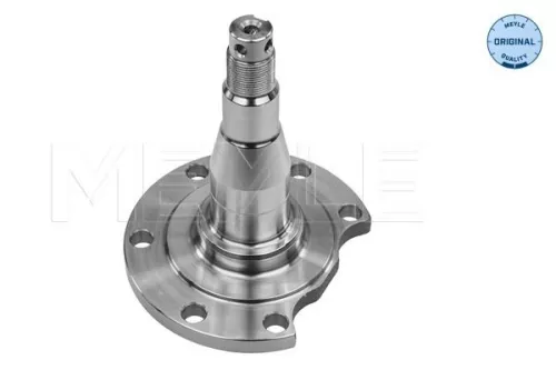 Steering Knuckle, wheel suspension