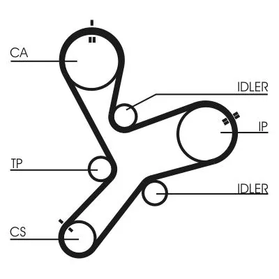 Timing Belt