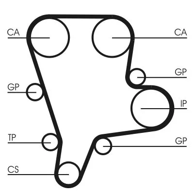 Timing Belt