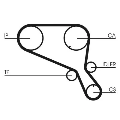 Timing Belt