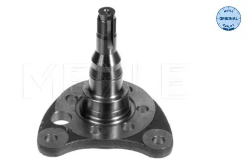 Steering Knuckle, wheel suspension