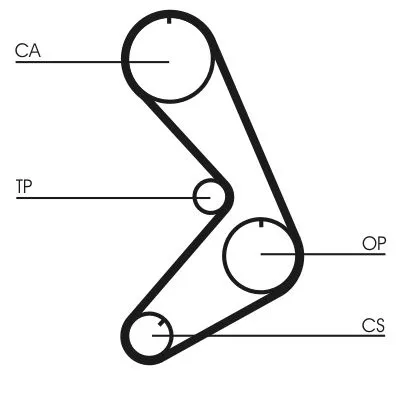 Timing Belt