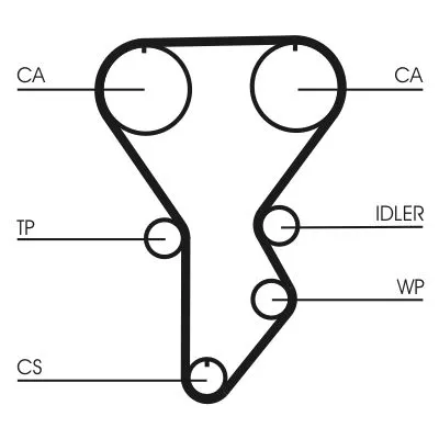 Timing Belt