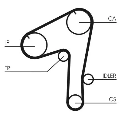Timing Belt