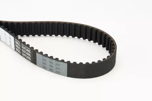 Timing Belt
