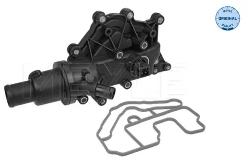 Thermostat, coolant