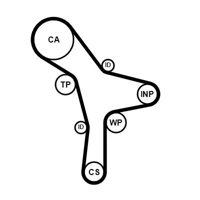 Timing Belt