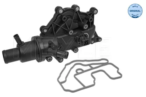 Thermostat, coolant