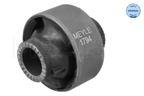 Mounting, control/trailing arm