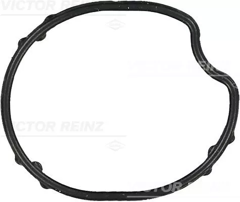 Gasket, thermostat housing