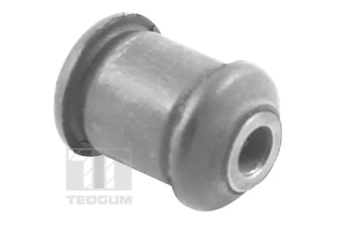 Mounting, control/trailing arm