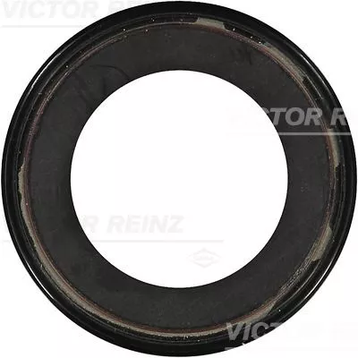 Shaft Seal, differential