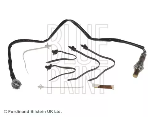Oxygen Sensor