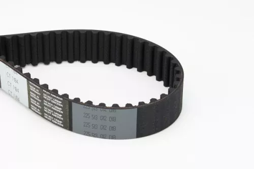 Timing Belt