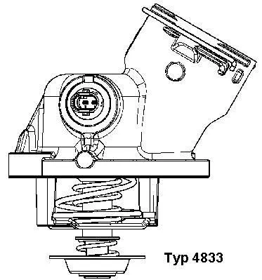 Thermostat, coolant